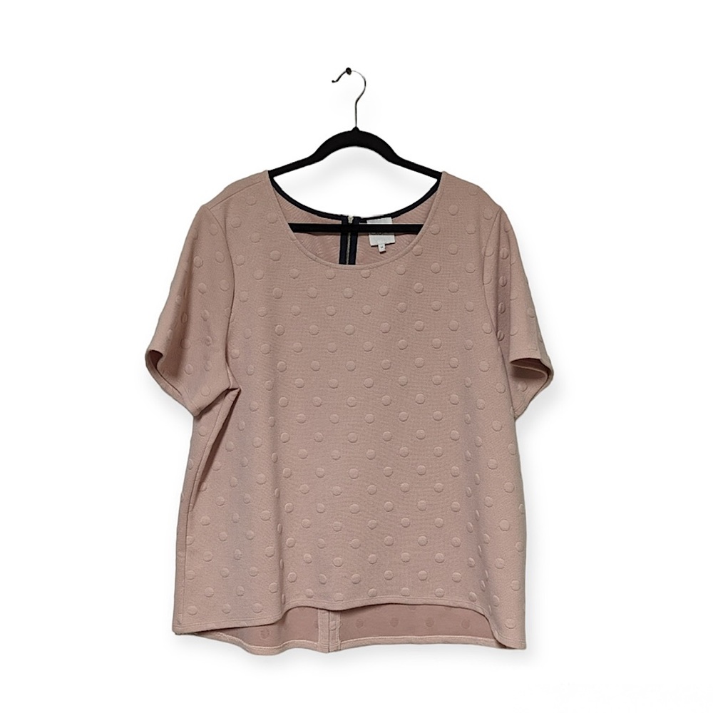 Gray LA Dusty Rose Top (1X)